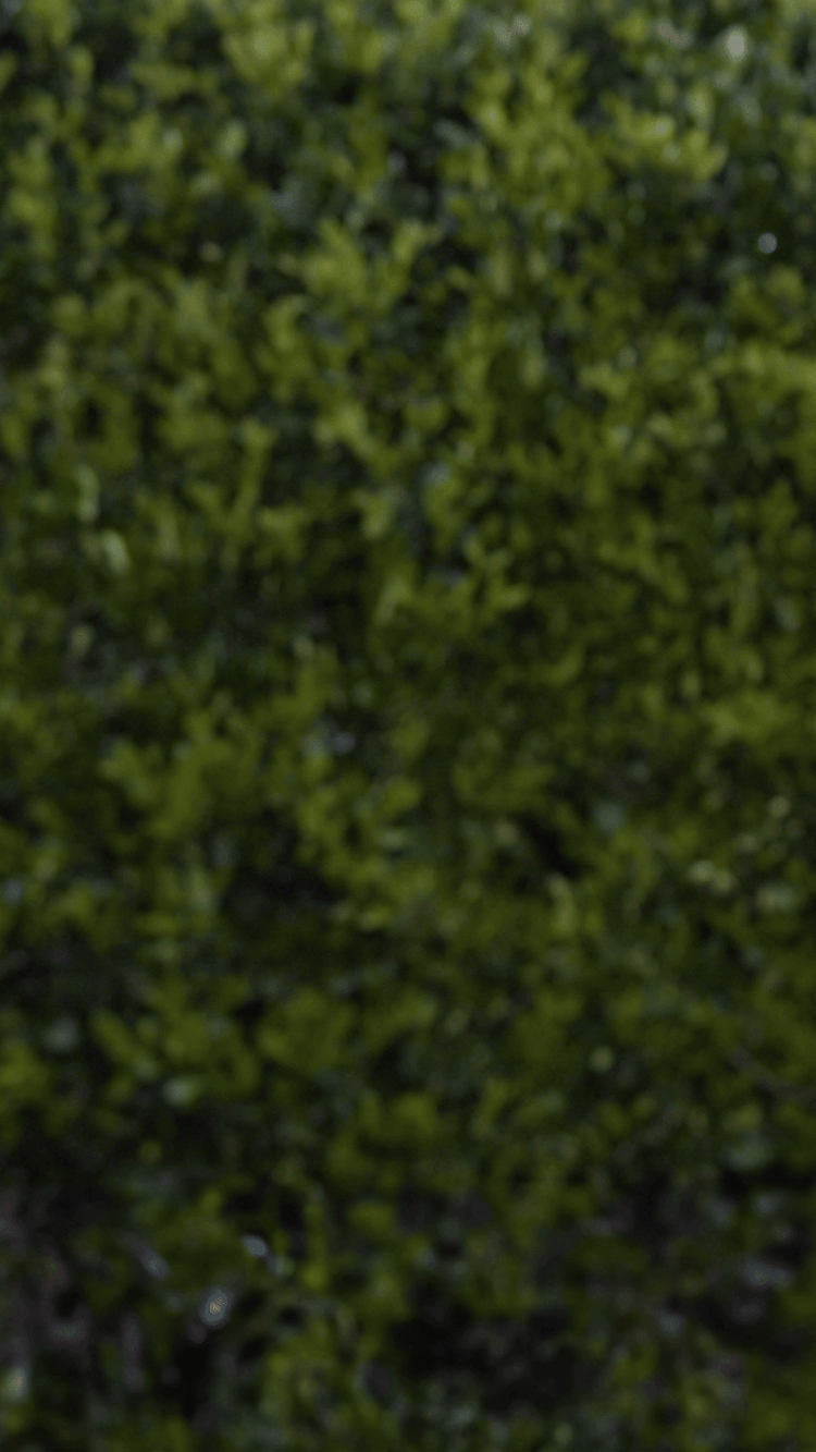 Grass Powerhouse pouch with hand holding it