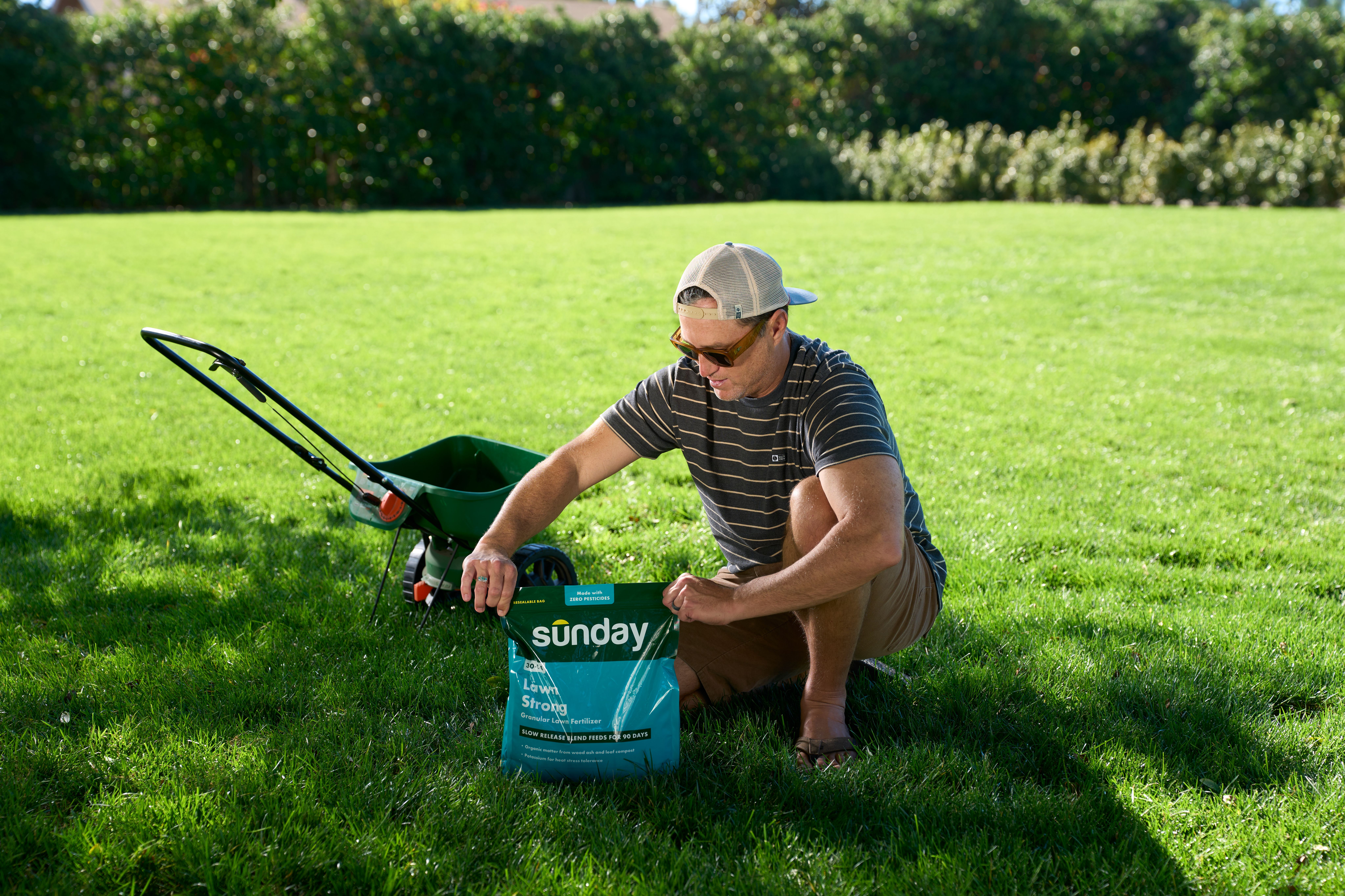 Sunday granular fertilizer product with man and spreader on a green lawn