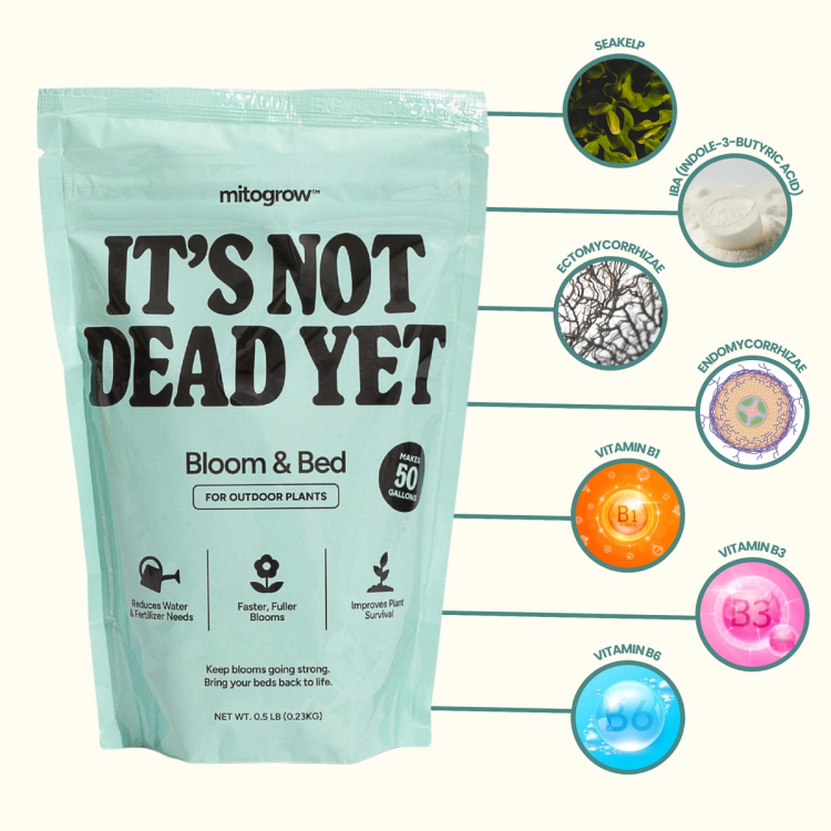 MitoGrow Bloom & Bed infographic with ingredients