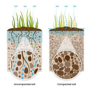 Visual comparison of damaged soil versus healthy soil
