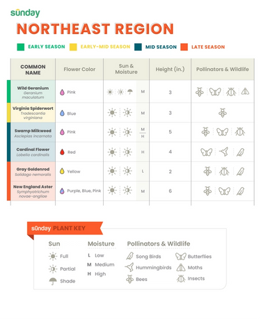 bird and pollinator friendly plant chart for the northeast