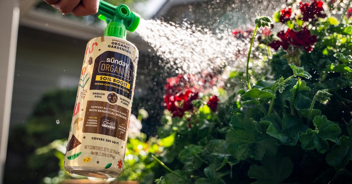 Soil Boost Instructions Sunday Lawn Care