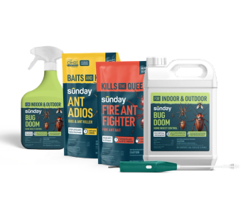 Bug doom (indoor & outdoor) and ant adios and fire ant fighter