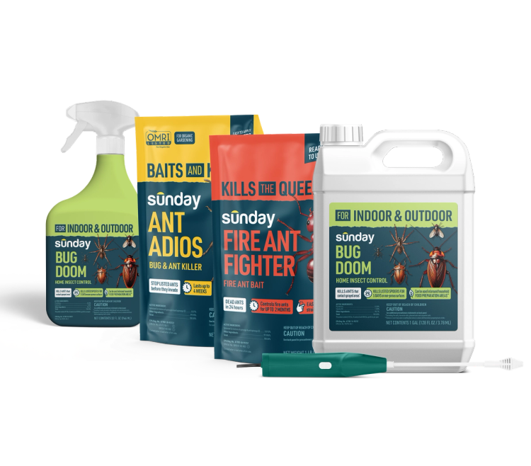 Bug doom (indoor & outdoor) and ant adios and fire ant fighter