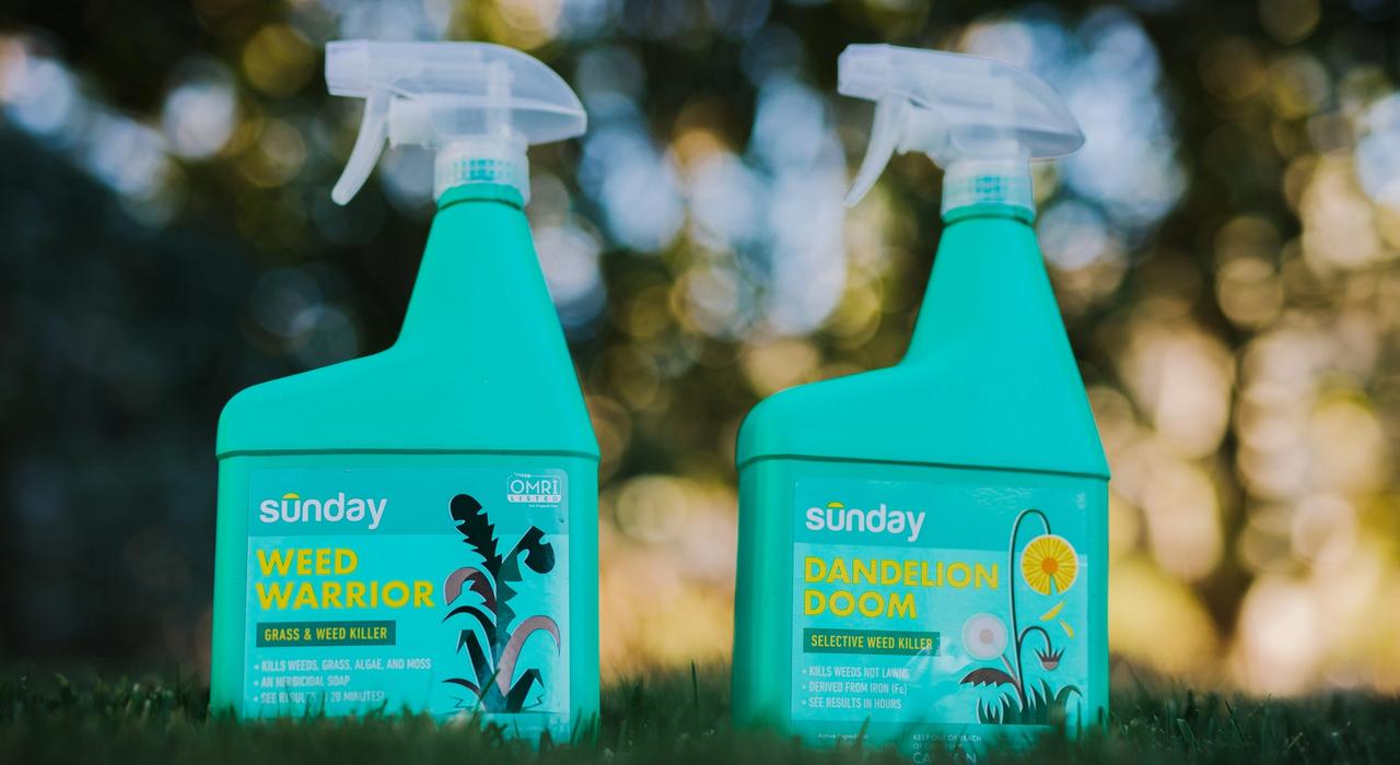 Sunday's ready-to-use weed control sprays