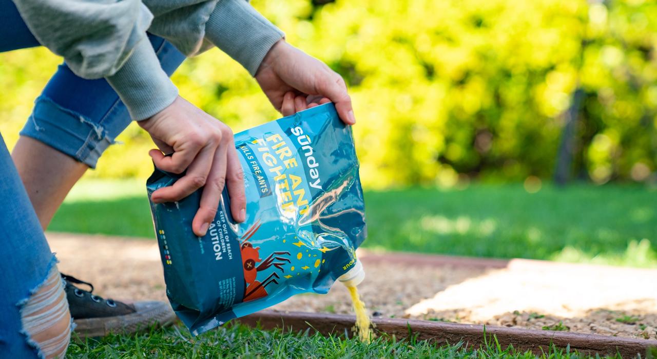 Sunday Fire Ant Fighter product image