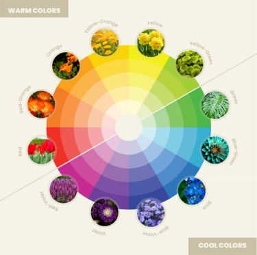 Color wheel for garden flowers