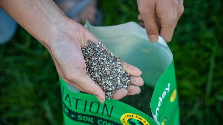 open palm holding seed & feed