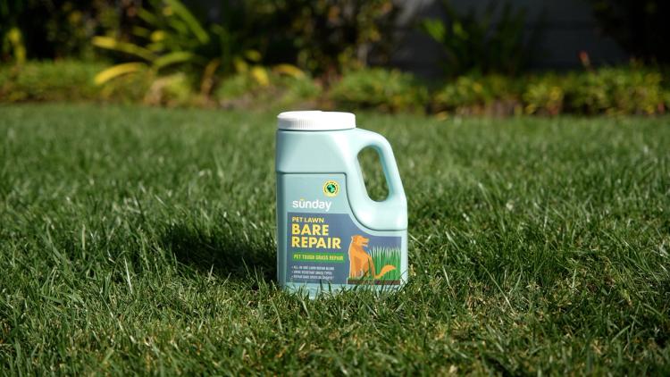 pet lawn bare repair