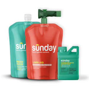 Summer Heat Defense Kit includes: Dandelion Doom Herbicide Concentrate Refill, Sunday Herbicide Pouch, Motorized Wand Sprayer, NEW Replacement Sprayer, Lawn Aid Heat Stress Prevention Treatment, and Water Focus