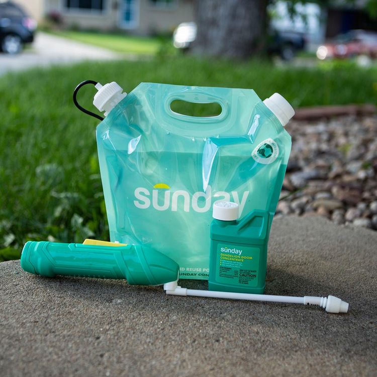 Dandelion Doom Herbicide Concentrate, Pouch, and Sprayer