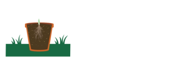 Backfill with Sunday Natural Moisture Potting Mix