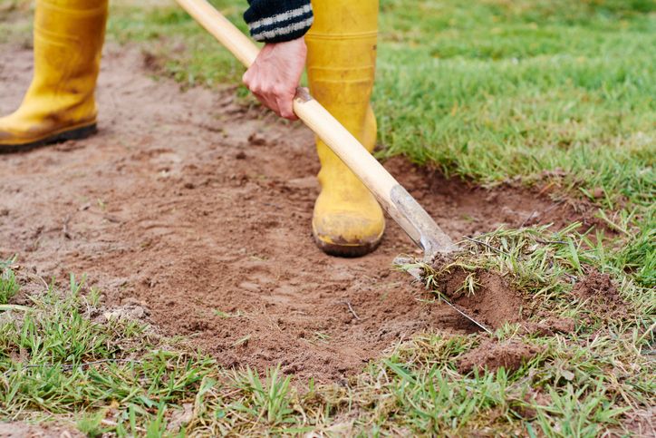 A homeowner removing turfgrass with a shovel