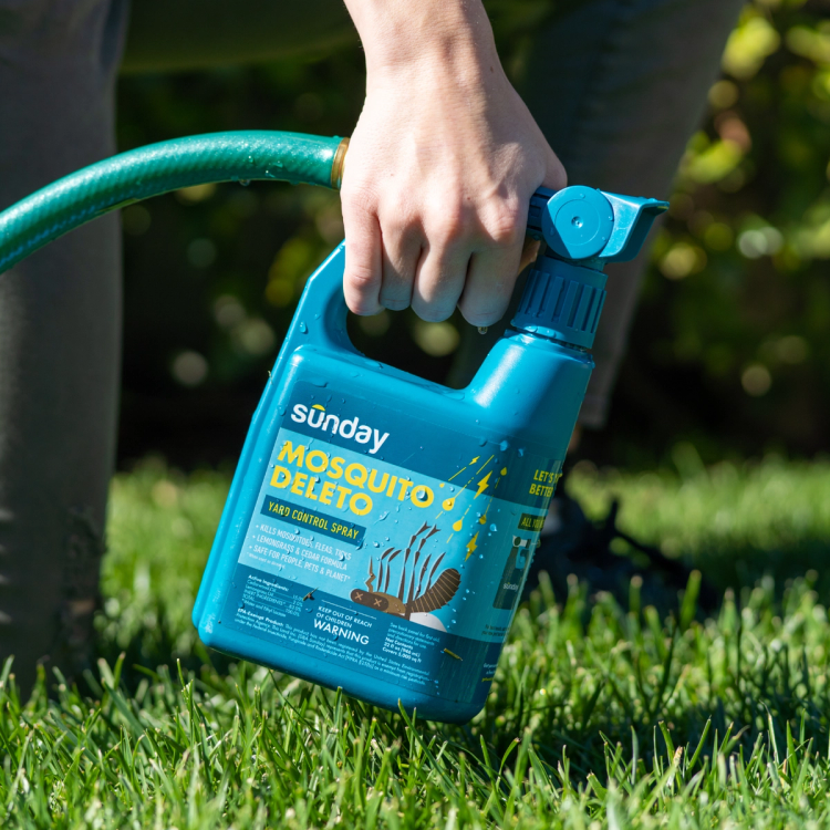 Spraying mosquito deleto on yard