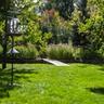 Beautifully lit backyard experiencing spring greenup on the lawn