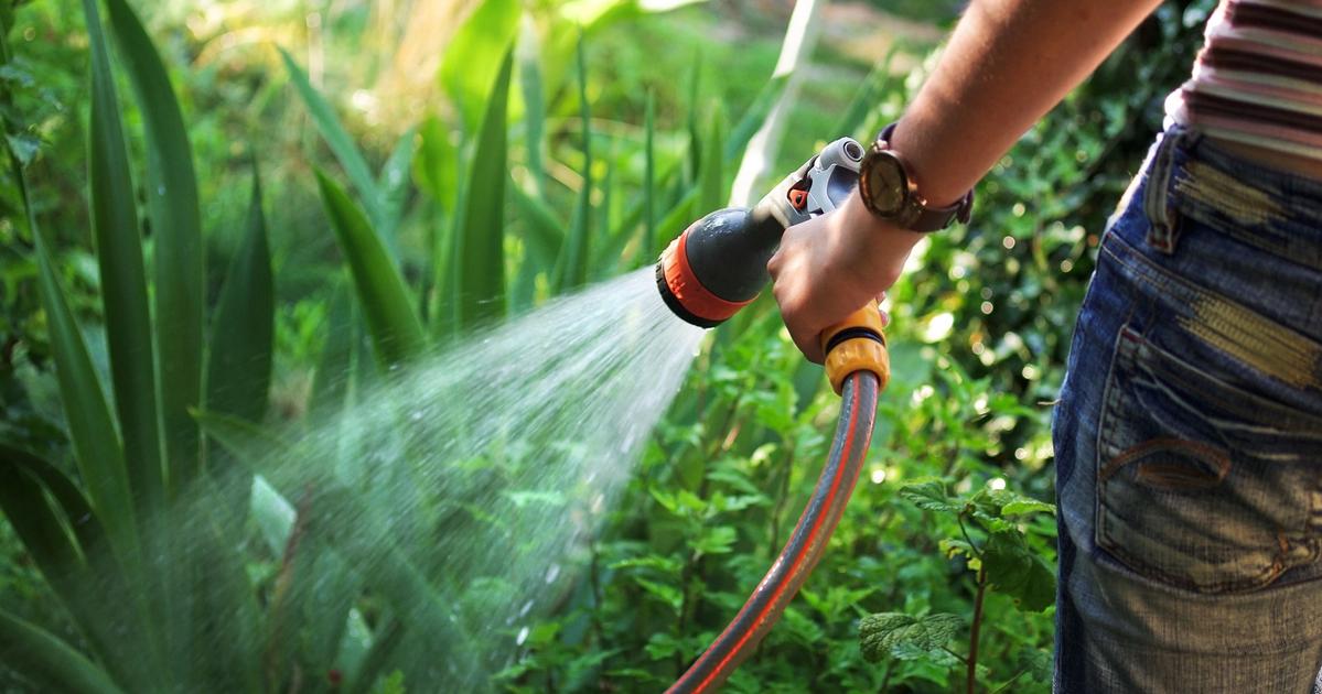 How to Select the Right Hose for your Lawn