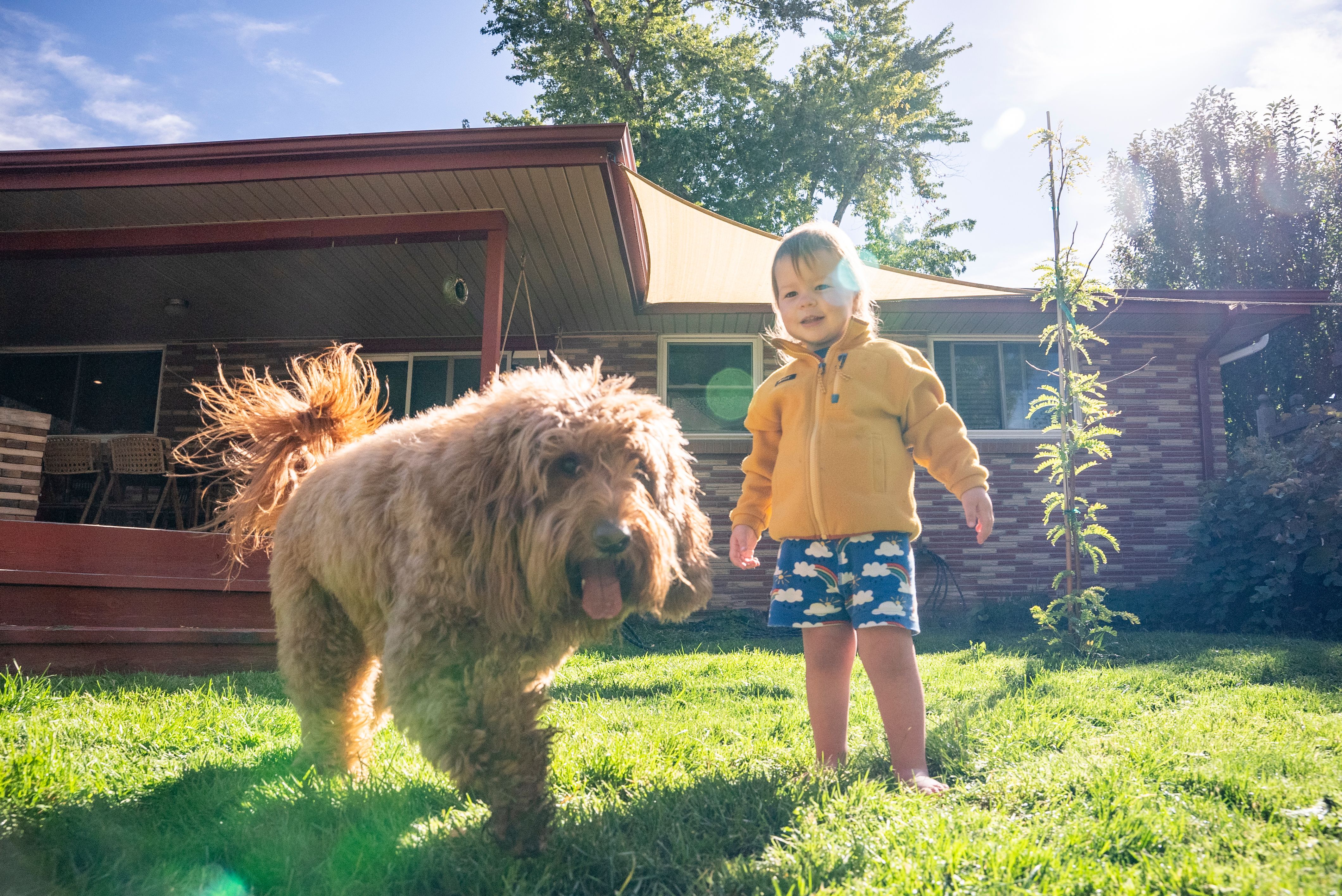 Child and dog sitting in a grass in front of a fence in a yard