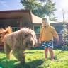 Child and dog sitting in a grass in front of a fence in a yard