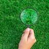 A hand holding a magnifying glass over grass