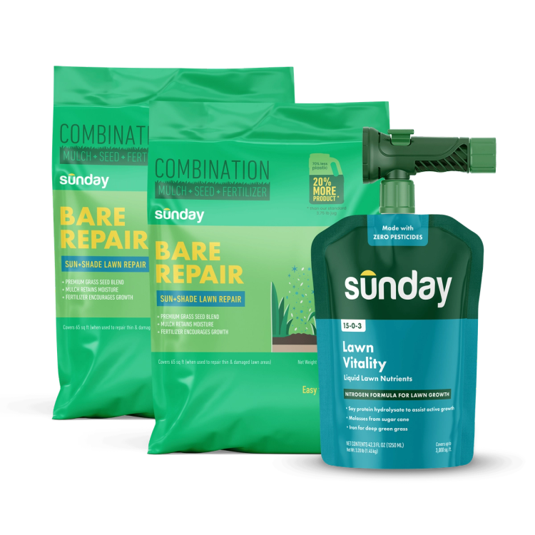Fescue Grass Patch Kit includes: Bare Repair Sun + Shade Lawn Treatment + Grass Seed, Lawn Vitality, and NEW Replacement Sprayer