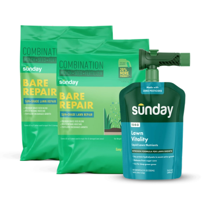 Fescue Grass Patch Kit includes: Bare Repair Sun + Shade Lawn Treatment + Grass Seed, Lawn Vitality, and NEW Replacement Sprayer