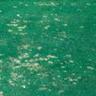 Zoomed out photo of dollar spot disease on a lawn