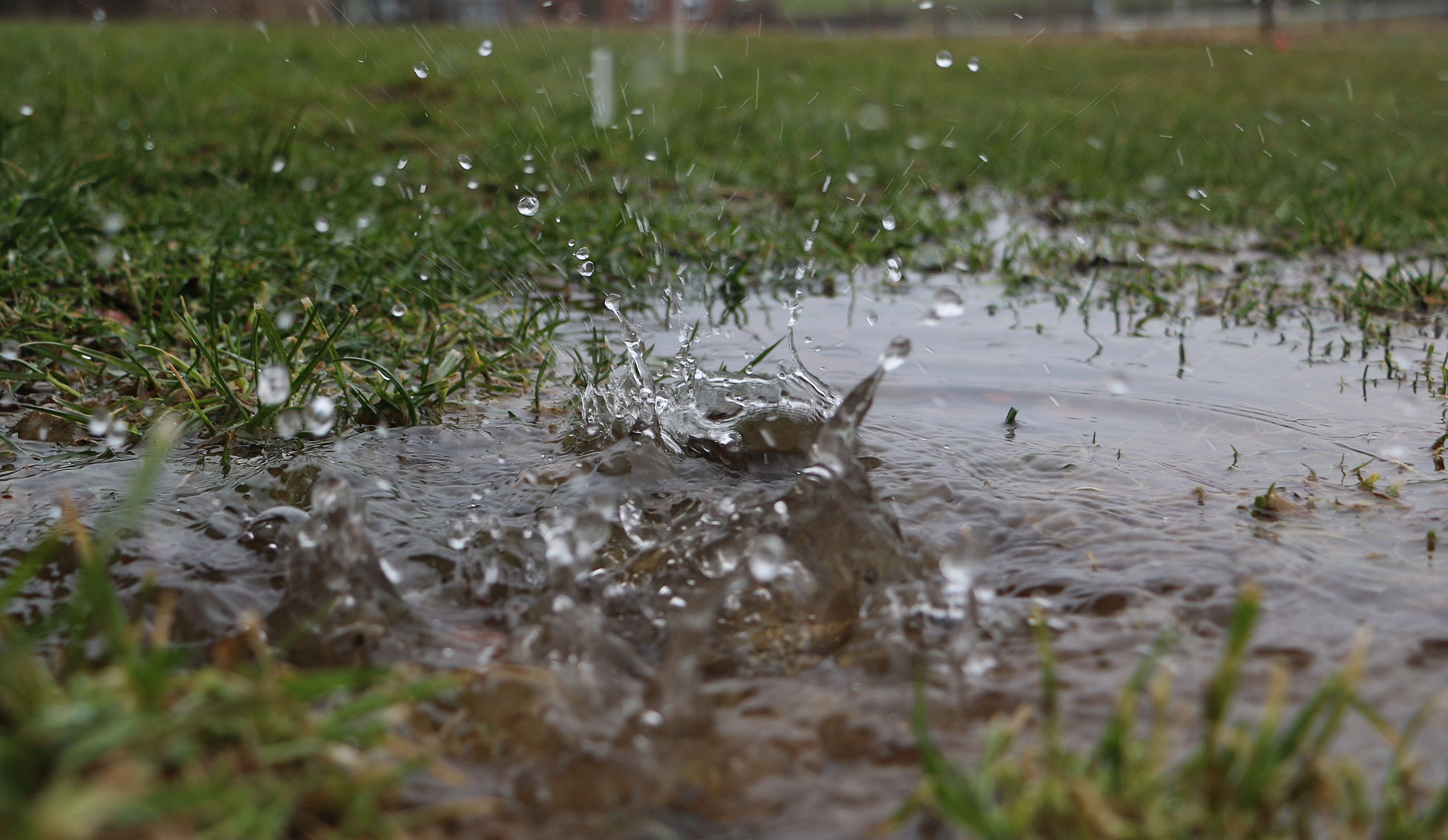 Flooded lawn in spring