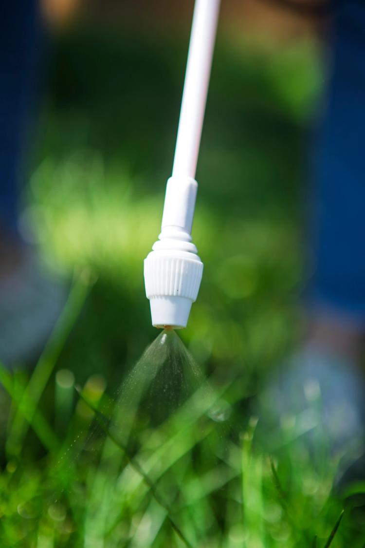 Close-up of sprayer in action.