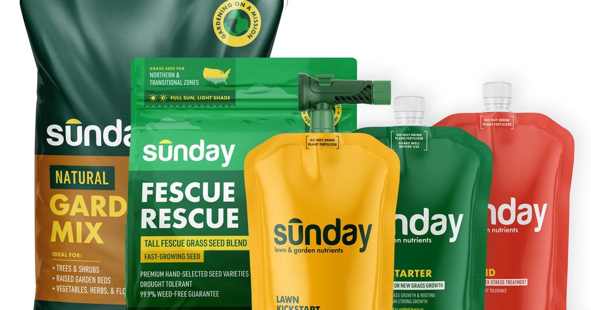 Start Your Lawn from Scratch Kit Sunday Lawn Care