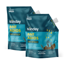 Ant Adios Insect & Ant Killer (2-pack)