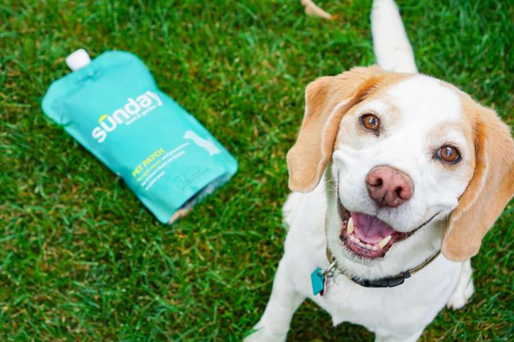 Pet Patch Lawn Repair Bag