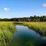 Southeast low country landscape marsh