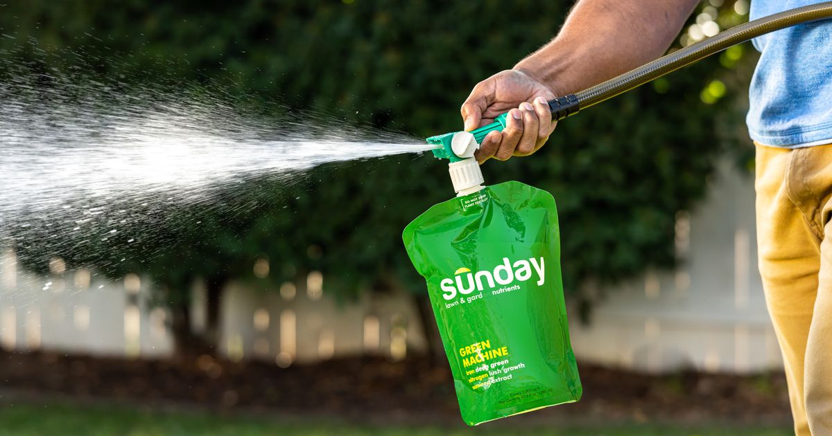 Starting Your Custom Lawn Plan Sunday Lawn Care Starting your custom lawn plan sunday lawn care