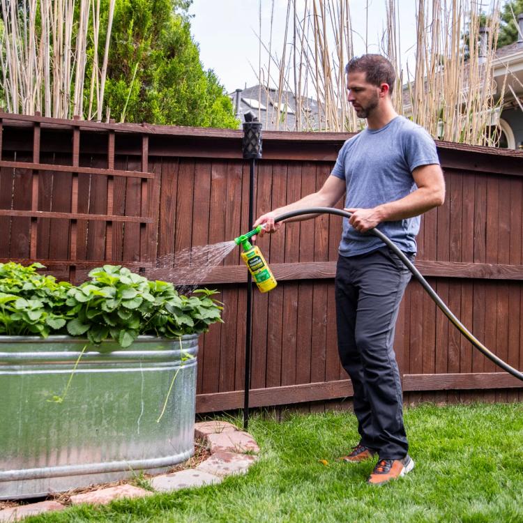 Man spraying his garden beds with Wonderfert All-Purpose liquid fertilizer