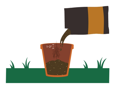 fill container with potting mix