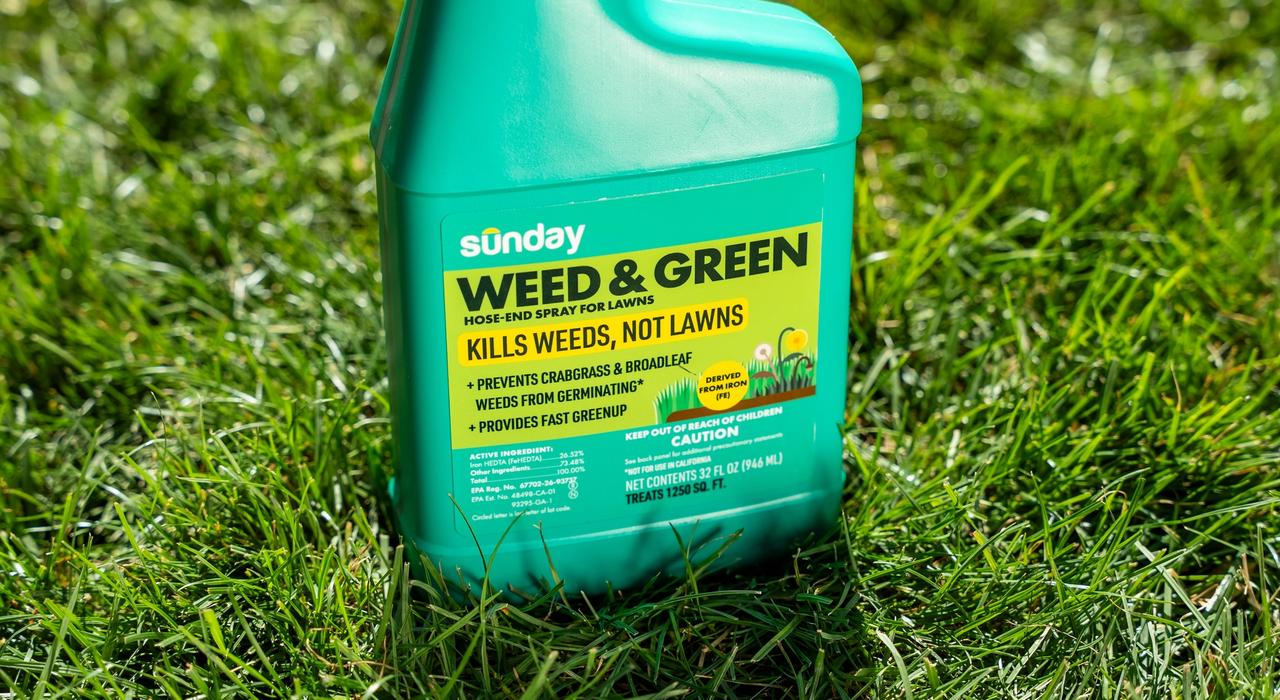 Bottle of Weed & Green Hose-end Sprayer for Lawns on green lawn