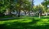 Woman applying Sunday to garden bed with beautiful lawn in background