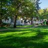 Woman applying Sunday to garden bed with beautiful lawn in background
