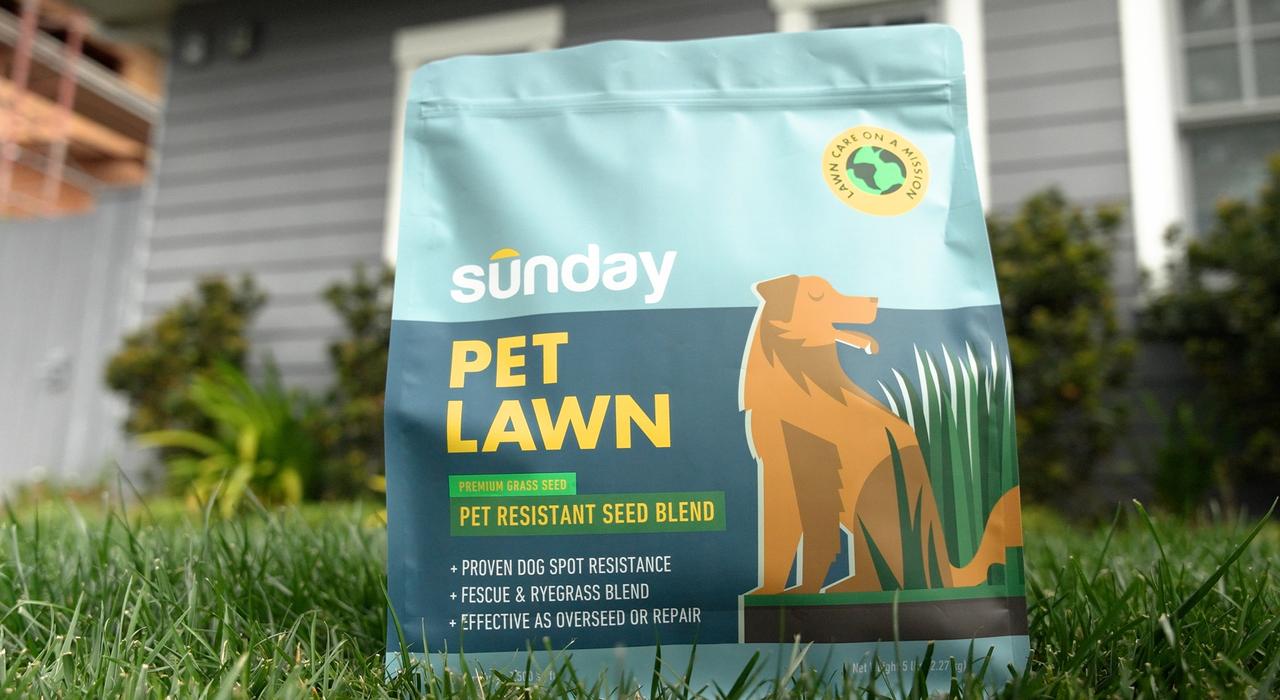 Sunday's Pet Lawn Grass Seed bag on green lawn