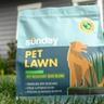 Sunday's Pet Lawn Grass Seed bag on green lawn