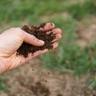 a hand filled with soil