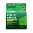 Bag of Sunday Fescue Rescue, a tall fescue grass seed blend