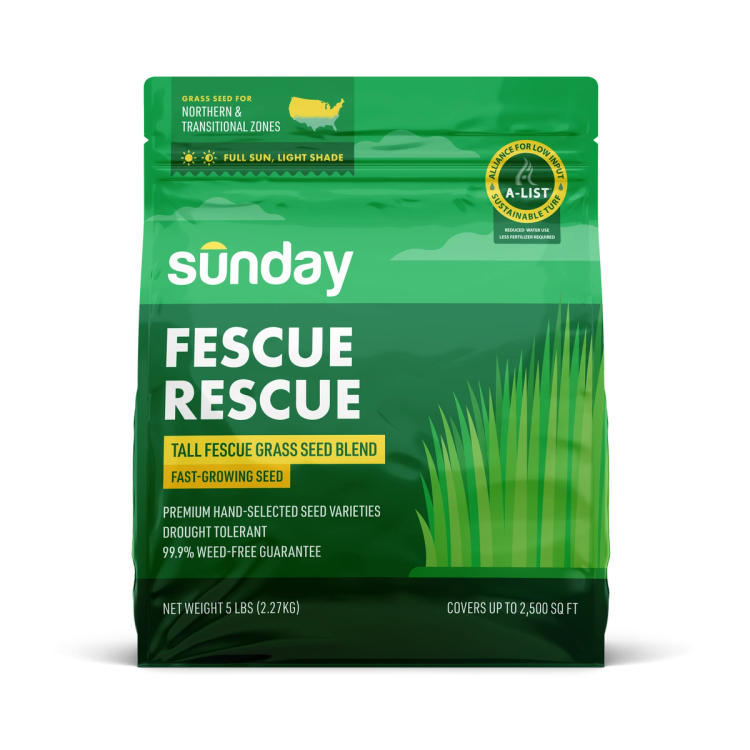 Bag of Sunday Fescue Rescue, a tall fescue grass seed blend