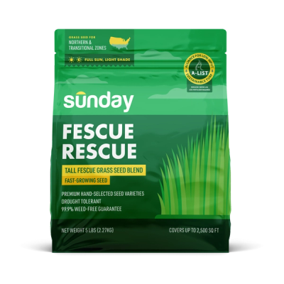 Bag of Sunday Fescue Rescue, a tall fescue grass seed blend