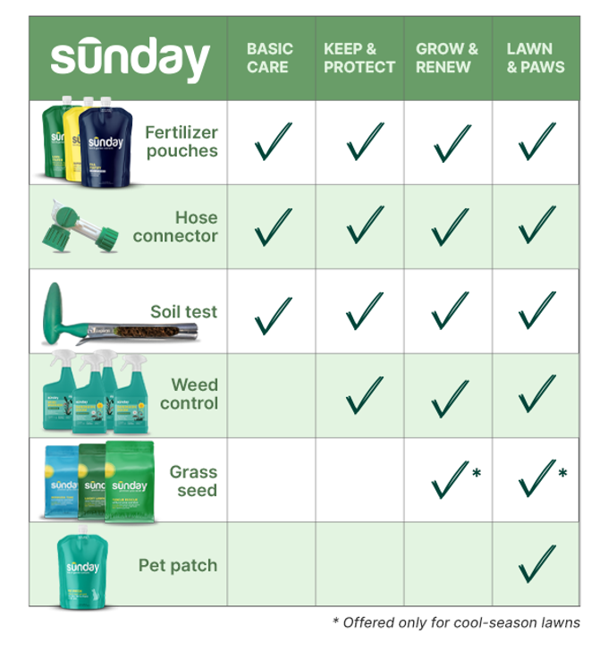 Lawn Care for Beginners Sunday Lawn Care