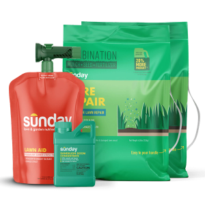Cool-season Weed, Seed, & Feed Kit includes: Bare Repair Sun + Shade Lawn Treatment + Grass Seed, Lawn Aid, Dandelion Doom Herbicide Concentrate Refill, Sunday Herbicide Pouch, Wand Sprayer, and NEW Replacement Sprayer