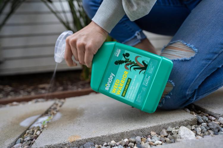 Weed Warrior easy to use weed control spray