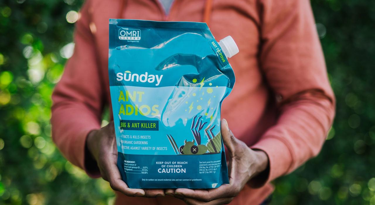 Sunday Ant Adios Product Photo