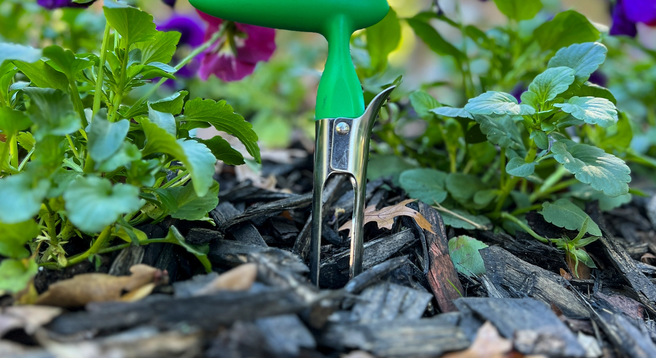 Garden soil test kit coring tool placed in soil and mulch of garden bed with plants