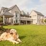 A golden retriever rests on a large lawn